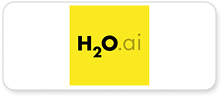 h2oai_Logo